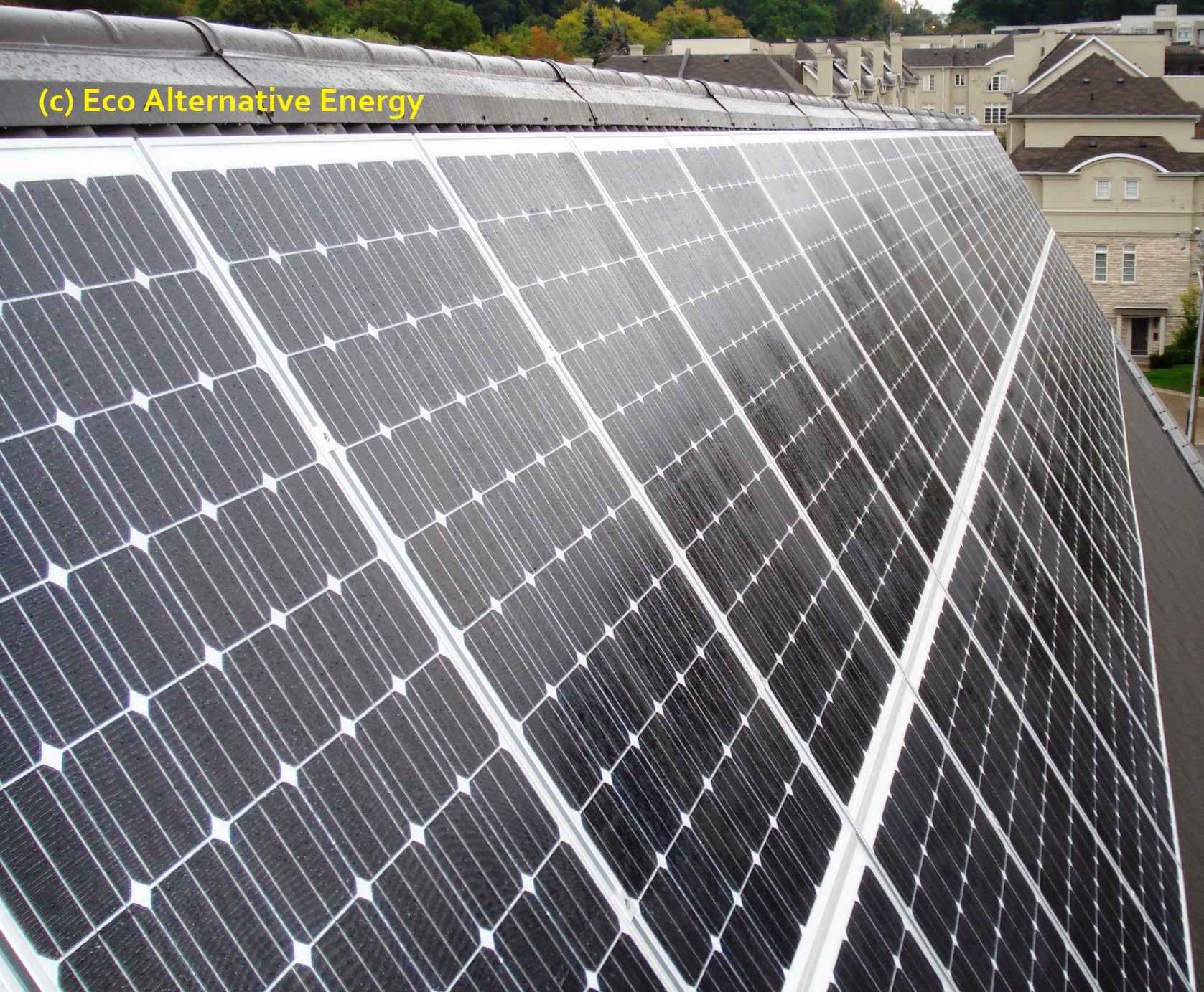 300 Watt 24 Volt Monocrystalline Solar Panel Solar Panels Solar Best Solar Panels